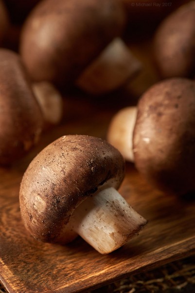 Mushrooms - Food Photographer